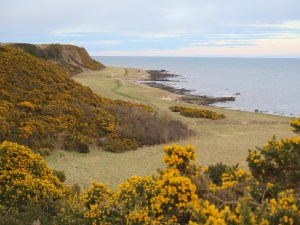 Cromarty Firth Scotland