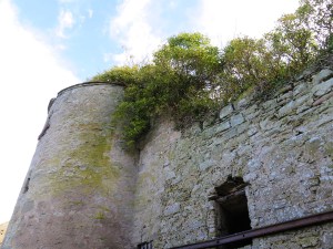 Cromarty Firth Scotland