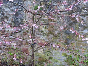 Cromarty Firth Scotland